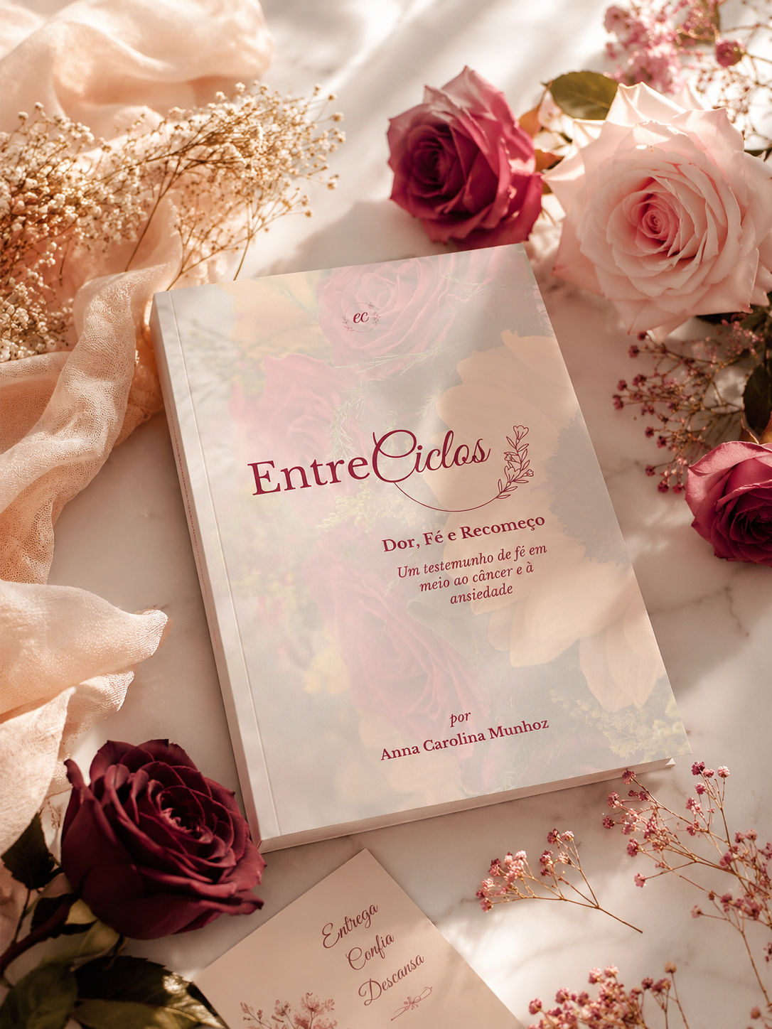 Entre Ciclos: Como nasceu o livro